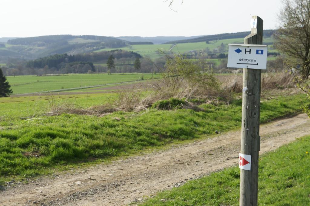 Hostellerie La Maison De Maitre Arbrefontaine Eksteriør billede